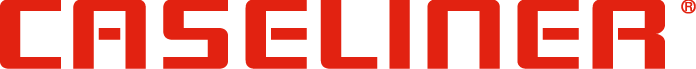 Primary Raster logo
